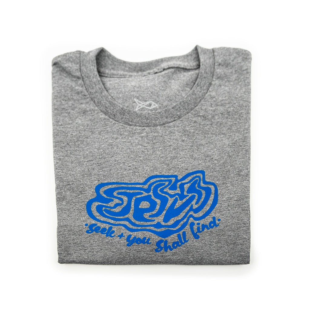 Jesus Seek And Find 2: Gray | Blue