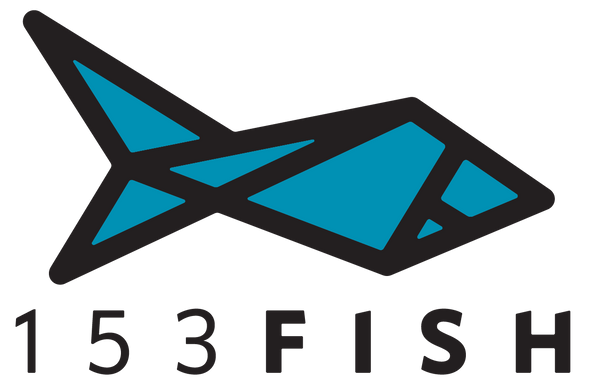 153FISH Design Studio
