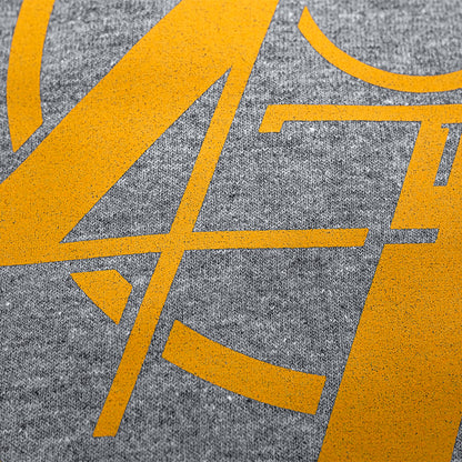 45/47 America's Felon: Gray | Orange Shirt