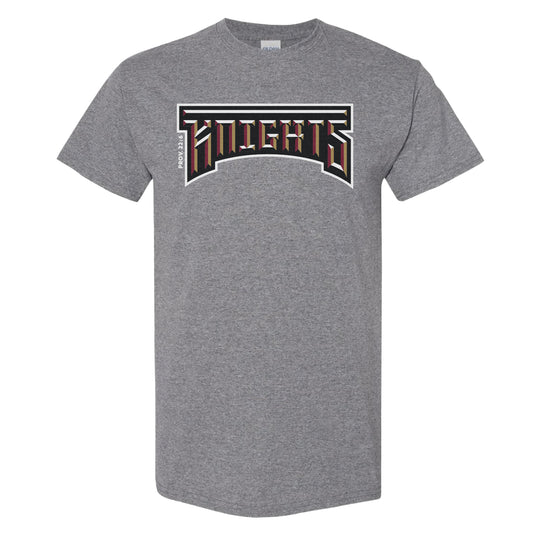 Knights Logotype: Gray Shirt